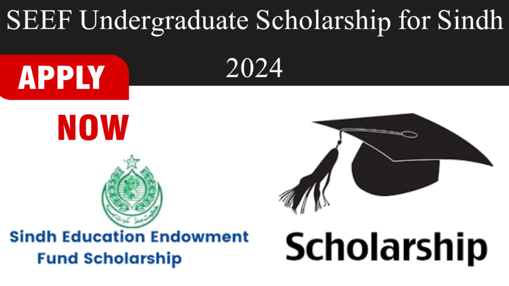 SEEF Undergraduate Scholarship for Sindh 2024