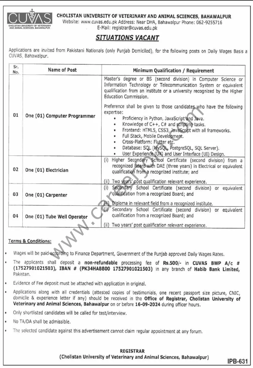 Cholistan University of Veterinary and Animal Sciences Jobs