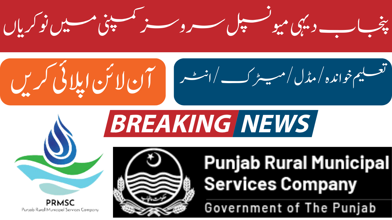 Punjab Rural Municipal Services Company Jobs 2024