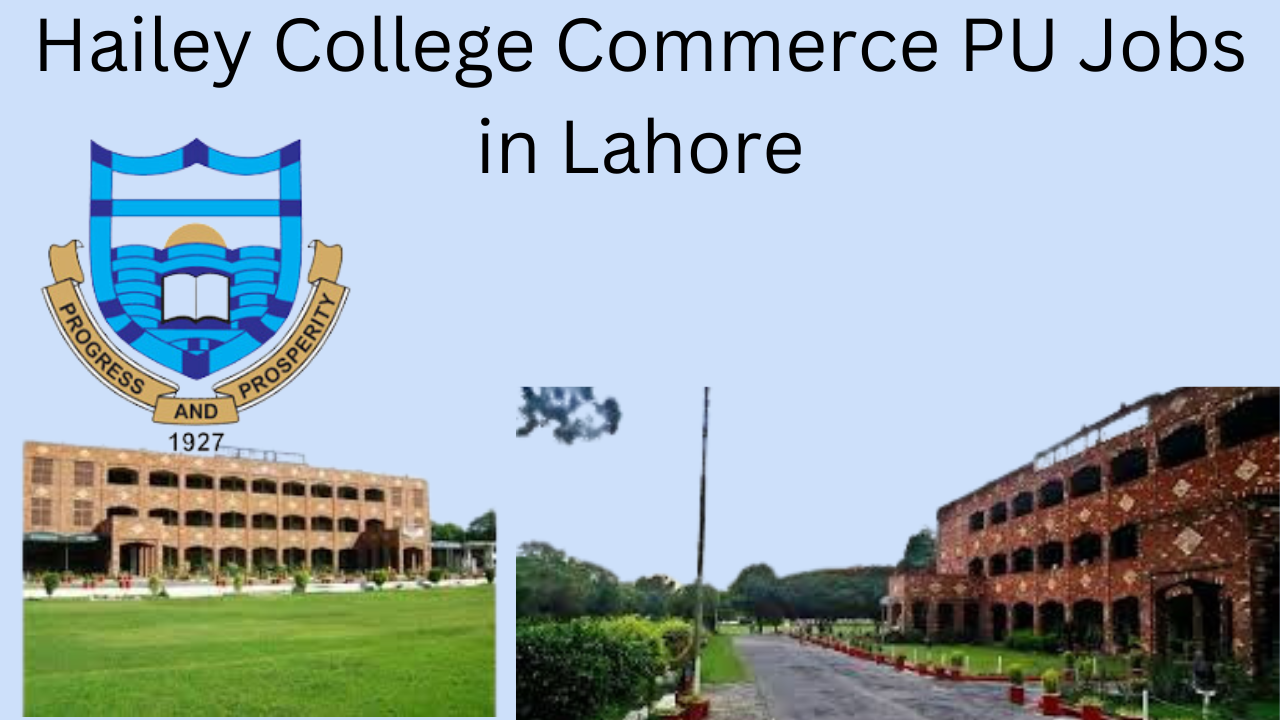 New Hailey College Commerce PU Jobs in Lahore 2024