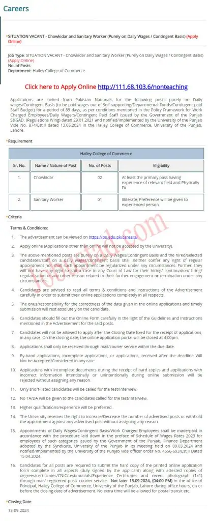 New Hailey College Commerce PU Jobs