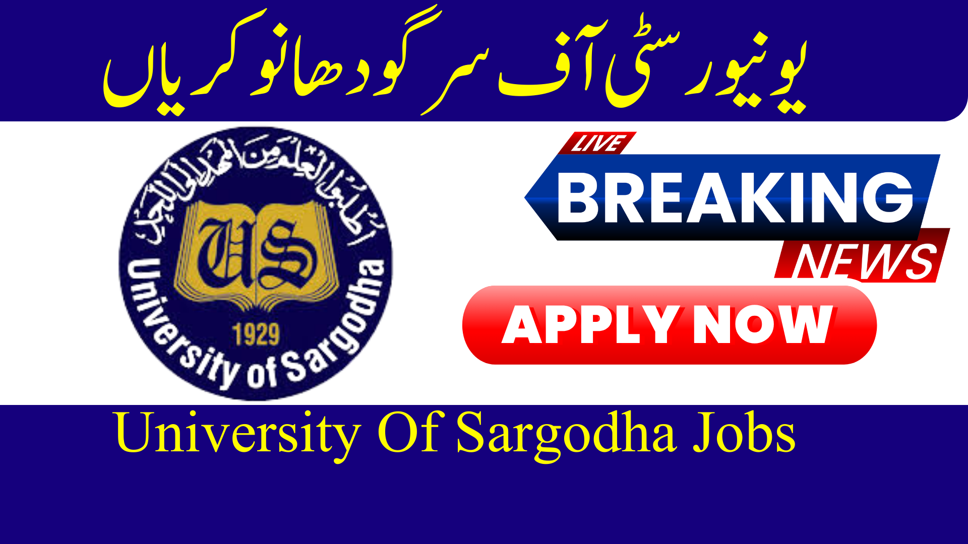 University Of Sargodha Jobs