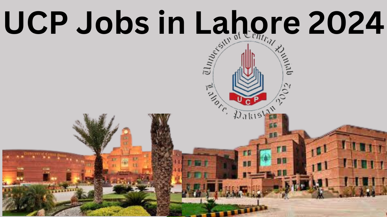 UCP Jobs in Lahore 2024