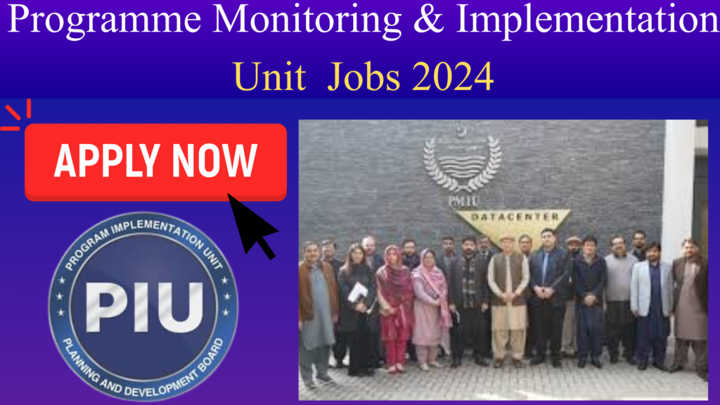 Programme Monitoring & Implementation Unit Jobs