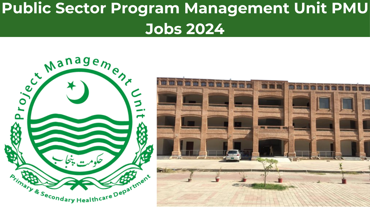 Public Sector Program Management Unit PMU Jobs 2024