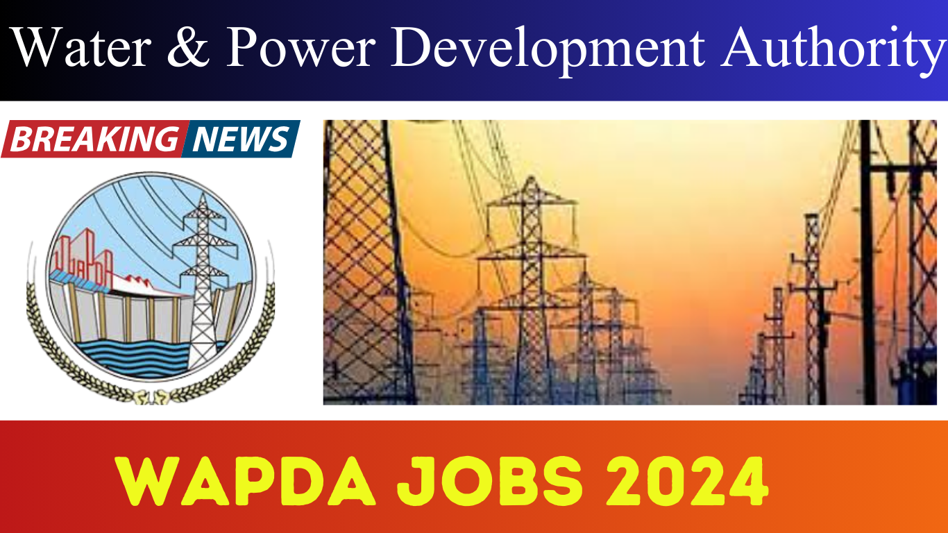 WAPDA Transport Directorate Jobs 2024