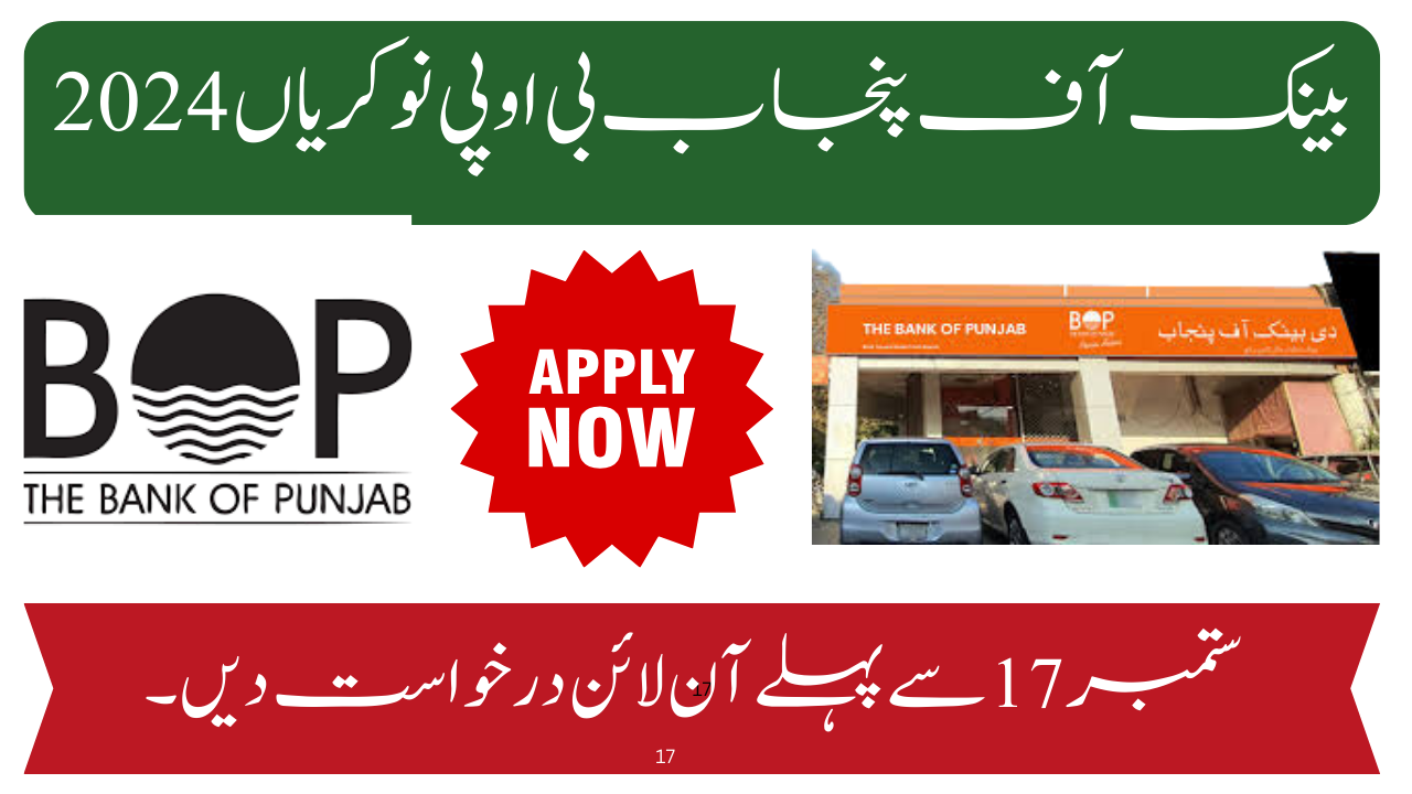 Bank of Punjab BOP Jobs 2024 