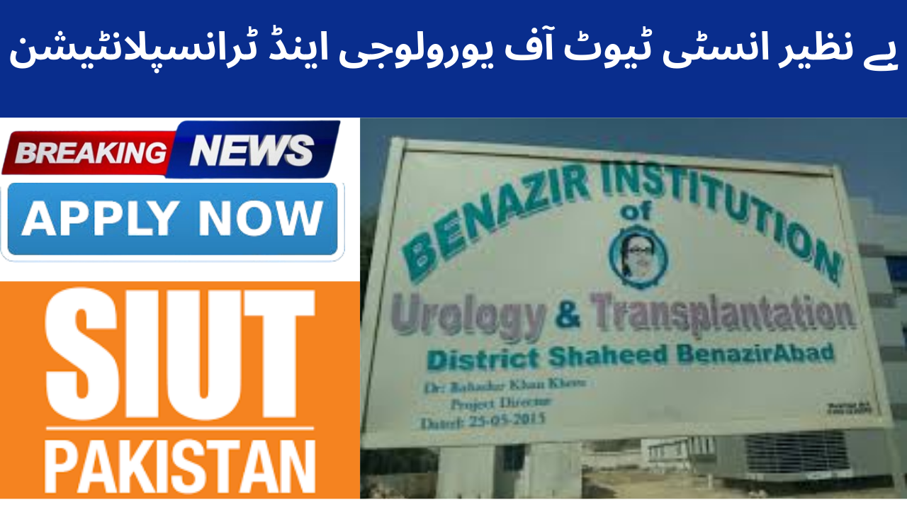 Benazir Institute Of Urology Transplantation Jobs 2024